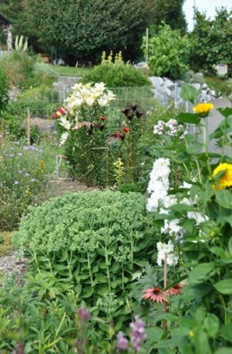 _DSC0058.jpg, 1.jpg, x.jpg