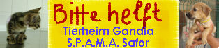 banner1-deu.jpg
