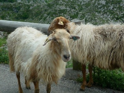 P1100127.JPG