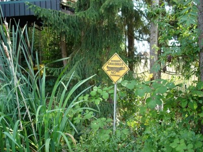 Garten neu 013.JPG