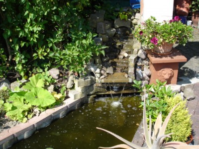 Kleine Bilder 2 009.JPG